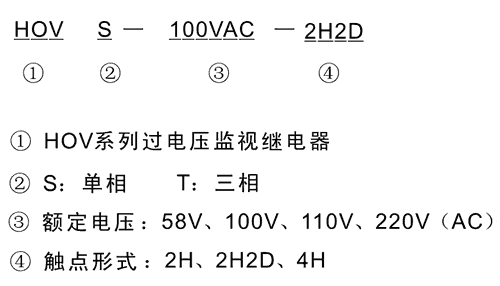 HOVS-100VAC-2H2D型號(hào)及其含義